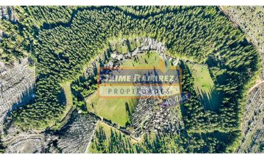 Se vende 90,5hás planas con agua, uso agricola y forestal, Molina