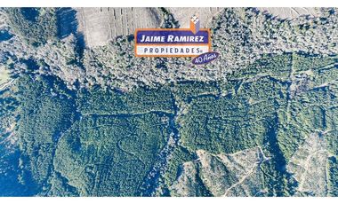 Se vende 90,5hás planas con agua, uso agricola y forestal, Molina