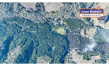 Se vende 90,5hás planas con agua, uso agricola y forestal, Molina