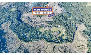Se vende 90,5hás planas con agua, uso agricola y forestal, Molina