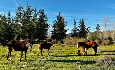 Se vende 90,5hás planas con agua, uso agricola y forestal, Molina