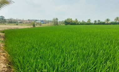 TARAPOTO - VENDO TERRENO RURAL 8,000 M² CERCA AEROPUERTO