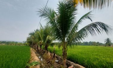 TARAPOTO - VENDO TERRENO RURAL 8,000 M² CERCA AEROPUERTO