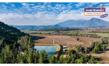 Se venden 58,6hás agrícolas, 8,4hás con arándanos, derechos de agua, sector El Yacal, Molina
