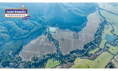 Se venden 58,6hás agrícolas, 8,4hás con arándanos, derechos de agua, sector El Yacal, Molina