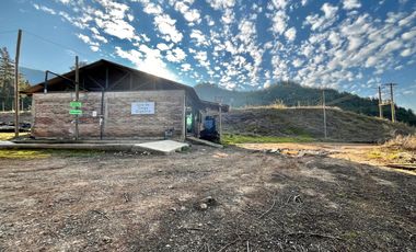 Se venden 58,6hás agrícolas, 8,4hás con arándanos, derechos de agua, sector El Yacal, Molina