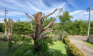 A pool villa with 2 bedroom house for rent or sale in Doi Saket, Chiang Mai