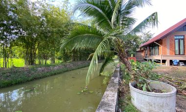 A pool villa with 2 bedroom house for rent or sale in Doi Saket, Chiang Mai