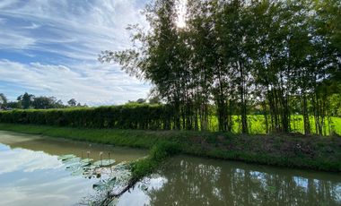 A pool villa with 2 bedroom house for rent or sale in Doi Saket, Chiang Mai