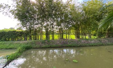 A pool villa with 2 bedroom house for rent or sale in Doi Saket, Chiang Mai