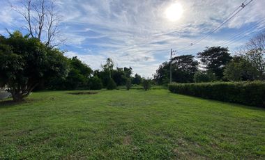 A pool villa with 2 bedroom house for rent or sale in Doi Saket, Chiang Mai