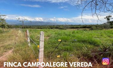 SE VENDE ESPECTACULAR FINCA - VEREDA BEJUNCAL (CAMPOALEGRE-HUI-CO)