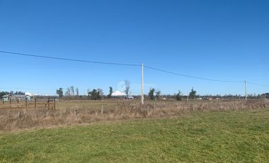 PARCELA EN SECTOR TACAMO