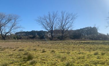 PARCELA EN SECTOR TACAMO