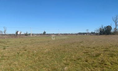 PARCELA EN SECTOR TACAMO