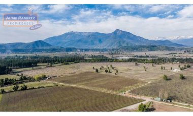 Se vende campo plano de 25,78hás con 3,38hás de producción manzana, El Yacal, Molina