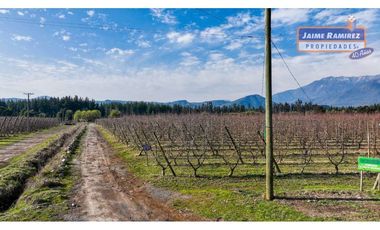 Se vende campo plano de 25,78hás con 3,38hás de producción manzana, El Yacal, Molina
