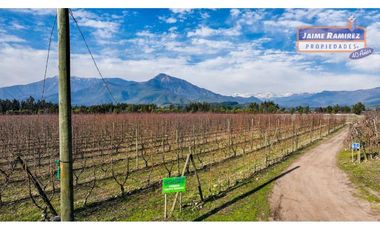 Se vende campo plano de 25,78hás con 3,38hás de producción manzana, El Yacal, Molina