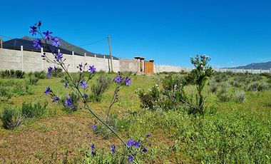 Venta de terreno 5380 M2 con rol propio, La Alcaparra II Ruta 43 Camino Ovalle, Coquimbo