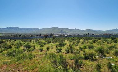Venta de terreno 5380 M2 con rol propio, La Alcaparra II Ruta 43 Camino Ovalle, Coquimbo