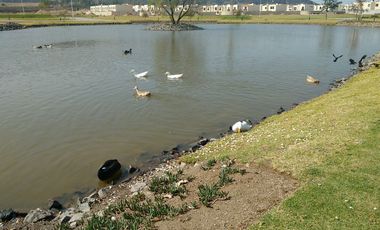 CASA NUEVA EN VENTA EN EL CAMPESTRE RESIDENCIAL