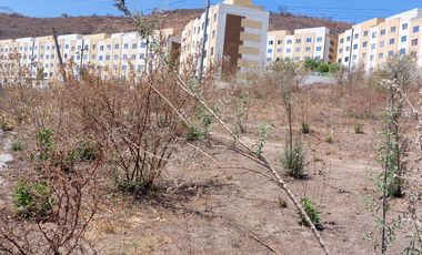 Terreno para constructores y desarrolladores de vivienda en Tlajomulco Jalisco