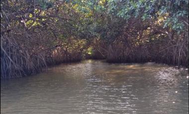 Terreno en Venta en Tampico El Alto Veracruz a 20 Kms de Tampico Tamaulipas