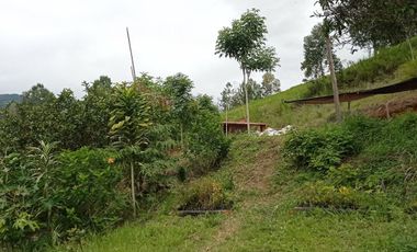 ESPECTACULAR PROYECTO EN GUAYATA.