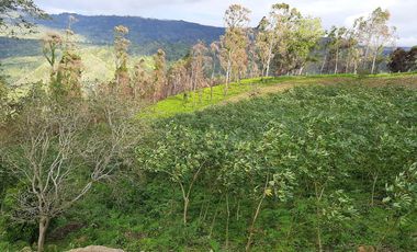 ESPECTACULAR PROYECTO EN GUAYATA.