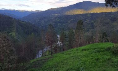 ESPECTACULAR PROYECTO EN GUAYATA.