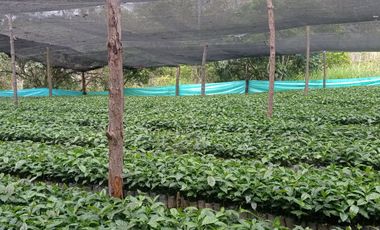 ESPECTACULAR PROYECTO EN GUAYATA.