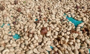 ESPECTACULAR PROYECTO EN GUAYATA.