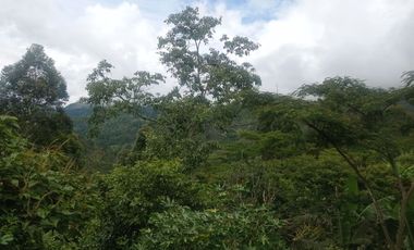 ESPECTACULAR PROYECTO EN GUAYATA.