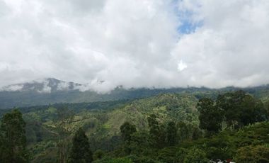 ESPECTACULAR PROYECTO EN GUAYATA.