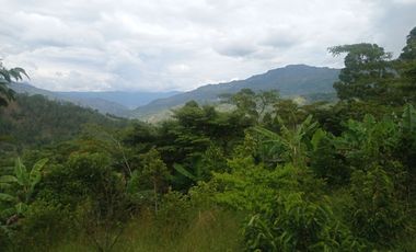 ESPECTACULAR PROYECTO EN GUAYATA.