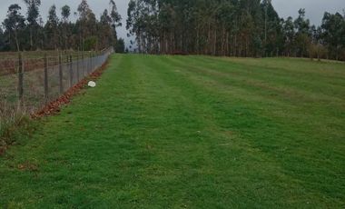 PARCELA SECTOR CAYUMAN RUTA 5 SUR PAILLACO