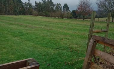 PARCELA SECTOR CAYUMAN RUTA 5 SUR PAILLACO