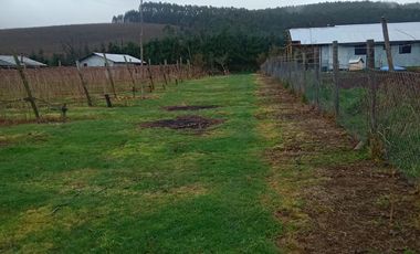 PARCELA SECTOR CAYUMAN RUTA 5 SUR PAILLACO