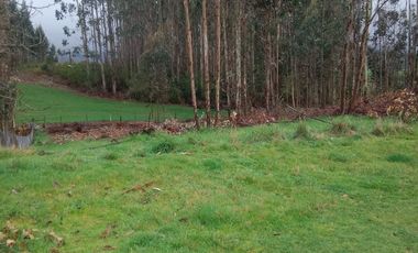 PARCELA SECTOR CAYUMAN RUTA 5 SUR PAILLACO