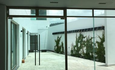 Local Comercial en Renta en Pachuca Hidalgo