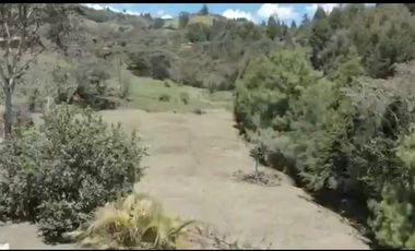 Vendo Hermosa Finca, variante Hipódromo Aeropuerto, POT, actividades turísticas, soporte Aeroportuario,
