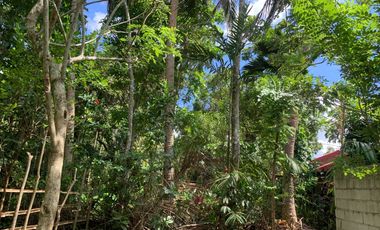 LOT FOR SALE / FOR LEASE SILANG CAVITE 100 SQM