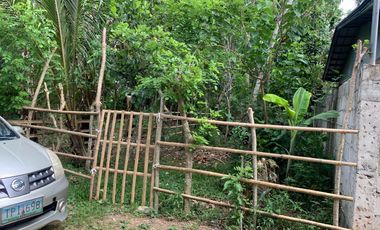 LOT FOR SALE / FOR LEASE SILANG CAVITE 100 SQM