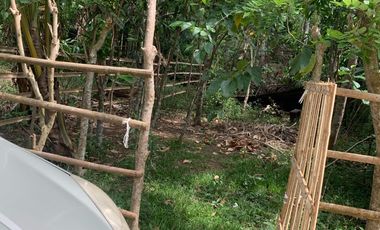 LOT FOR SALE / FOR LEASE SILANG CAVITE 100 SQM