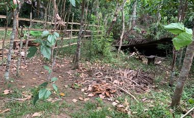 LOT FOR SALE / FOR LEASE SILANG CAVITE 100 SQM