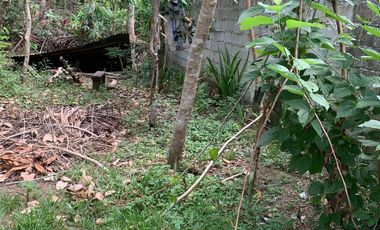 LOT FOR SALE / FOR LEASE SILANG CAVITE 100 SQM