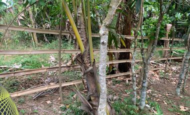 LOT FOR SALE / FOR LEASE SILANG CAVITE 100 SQM