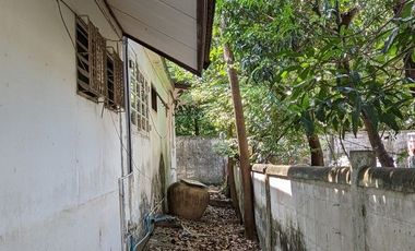 Single house with 4 bedroom 3 bathroom about 250 sq m. with big balcony, maid quarter big garden with big garden partly furnished in Chuanchuen Parkvi
