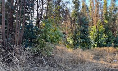 Venta de Terreno de 7.9 Hectáreas en Naltahua, Isla de Maipo.