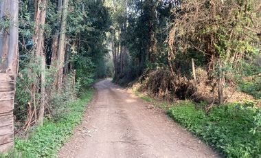 Venta de Terreno de 7.9 Hectáreas en Naltahua, Isla de Maipo.